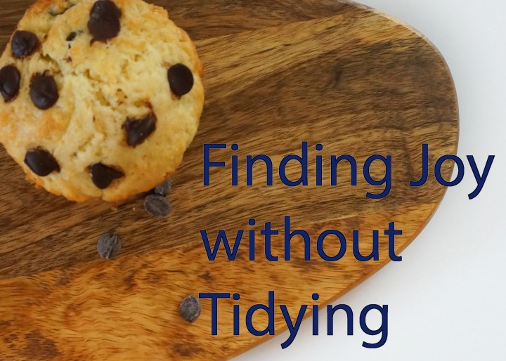 Finding Joy without Tidying.jpg